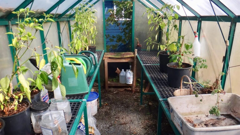 Read more about the article Geef je tuin tijdig een grondige voorjaarsschoonmaak!