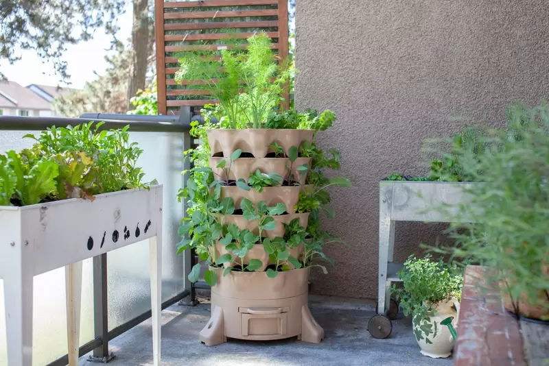 Read more about the article Hoe start je een moestuin op je balkon?