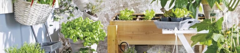 Read more about the article Tuinieren in een moestuinbak